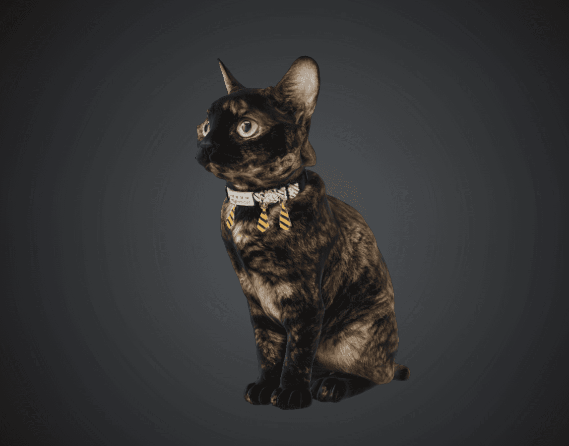 Textured 3D model of Morty's tortoiseshell cat in a seated pose